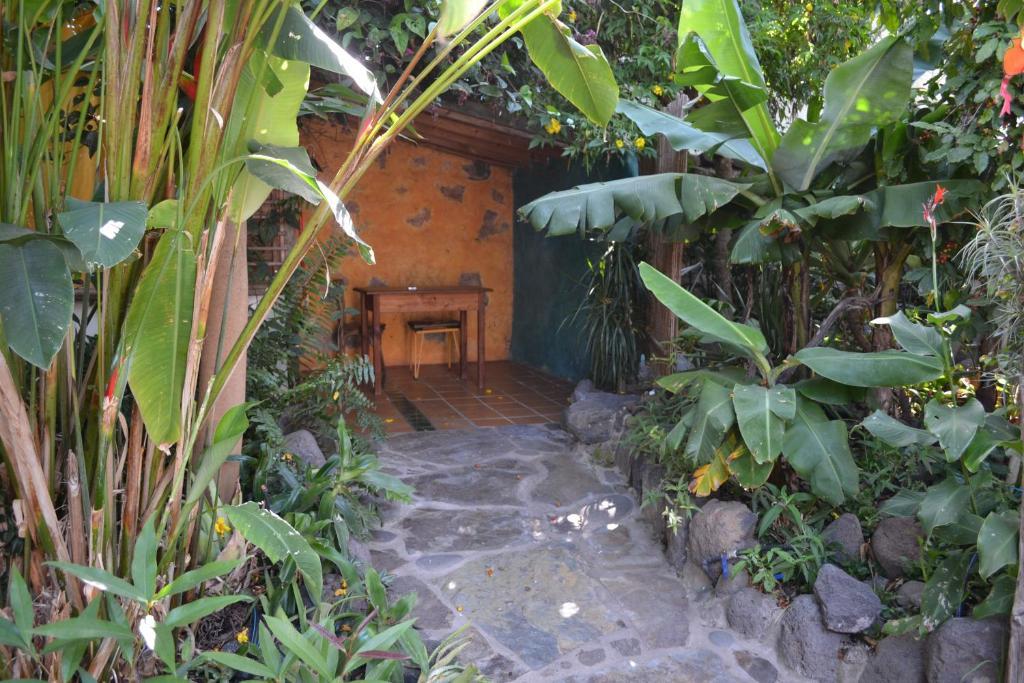 ロス・ジャノス・デ・アリダネ El Porvenirホステル 部屋 写真
